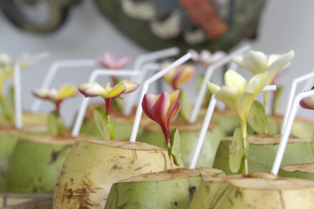 Alami Villa Ubud  Bagian luar foto