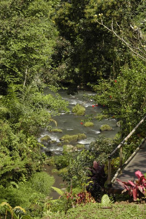 Alami Villa Ubud  Bagian luar foto