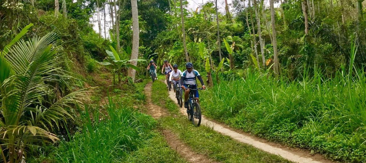 Alami Villa Ubud  Bagian luar foto